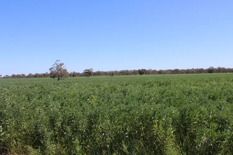 Fourth view of Homely rural property listing, 162 Pier Point Road, Custon SA 5269
