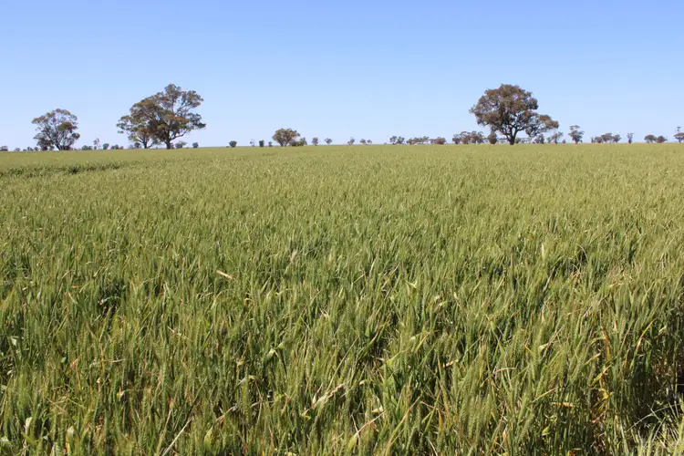 Fifth view of Homely rural property listing, 162 Pier Point Road, Custon SA 5269