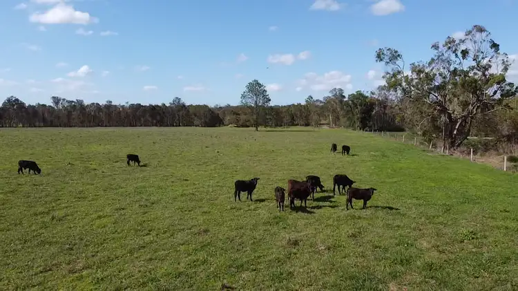 Fifth view of Homely land listing, Lot 162 Ruths Road, South Kolan QLD 4670