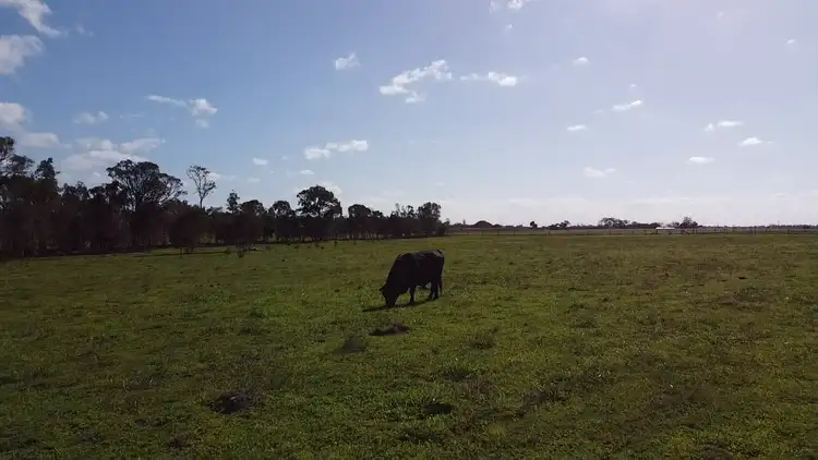 Sixth view of Homely land listing, Lot 162 Ruths Road, South Kolan QLD 4670