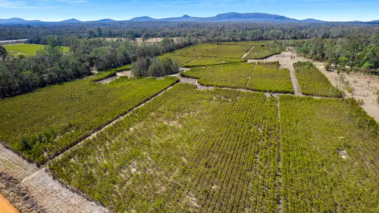 Third view of Homely rural property listing, 145 Wants Lane, Glenugie NSW 2460