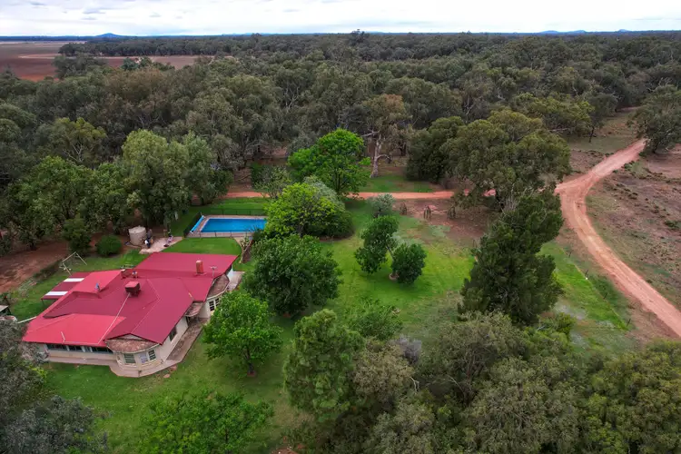 985 North Forbes Road, Condobolin NSW 2877