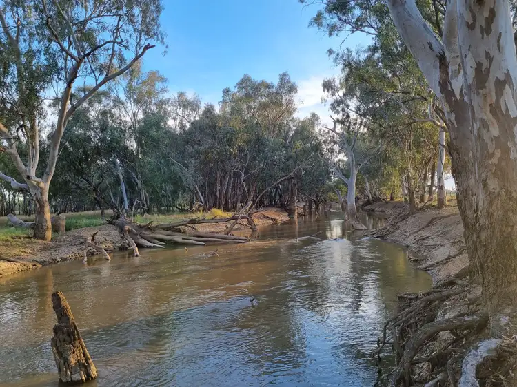 Third view of Homely house listing, 985 North Forbes Road, Condobolin NSW 2877