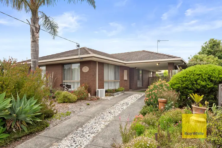 Main view of Homely house listing, 8 Cotswold Court, Grovedale VIC 3216