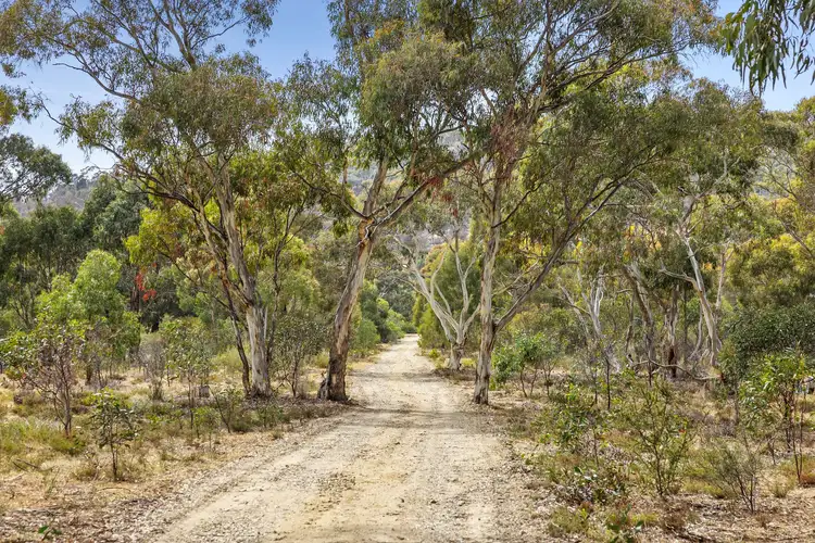 Second view of Homely house listing, 21 Bunjils Cave Road, Black Range VIC 3381