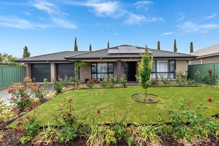 Main view of Homely house listing, 41 Pfitzner Close, Murray Bridge SA 5253