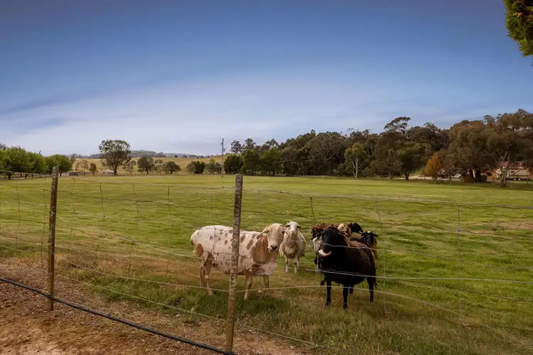 Fourth view of Homely house listing, 146 Red Gap Road, Lancefield VIC 3435