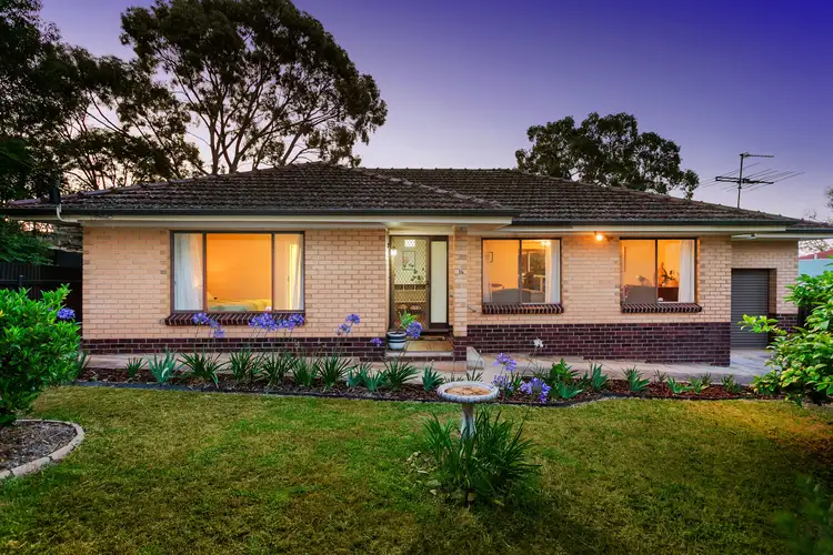 16 Lawn Street, Panorama SA 5041