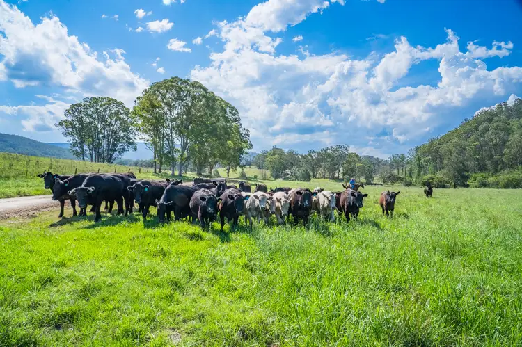 Main view of Homely rural property listing, 312-370 Upper Monkerai Road, Monkerai NSW 2415