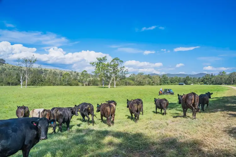 Sixth view of Homely rural property listing, 312-370 Upper Monkerai Road, Monkerai NSW 2415