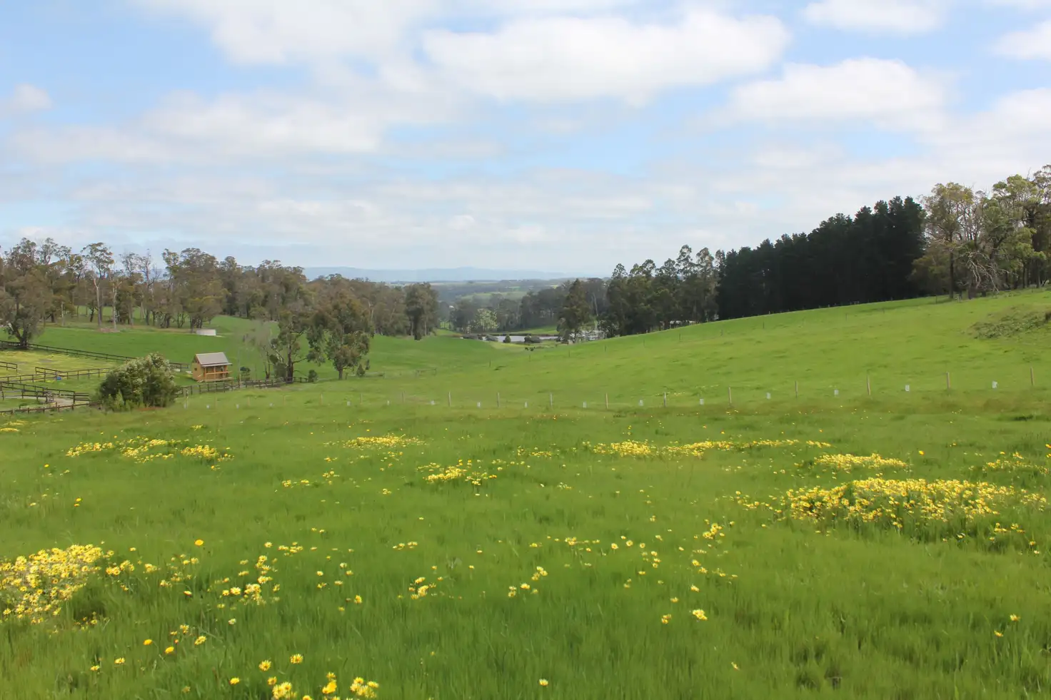 Main view of Homely land listing, LOT 1, 1612 Willow Grove Road, Willow Grove VIC 3825