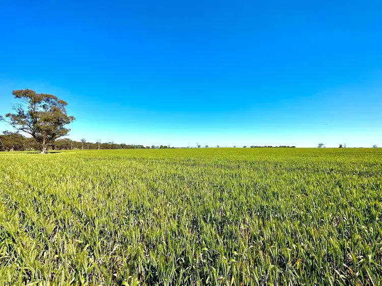 1924 Rowney Road, Mundulla SA 5270
