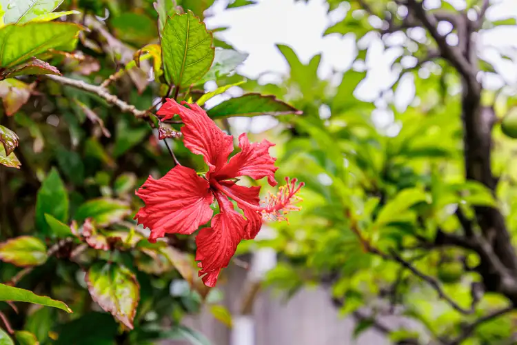 Fourth view of Homely house listing, 18 Strathfield Terrace, Largs North SA 5016