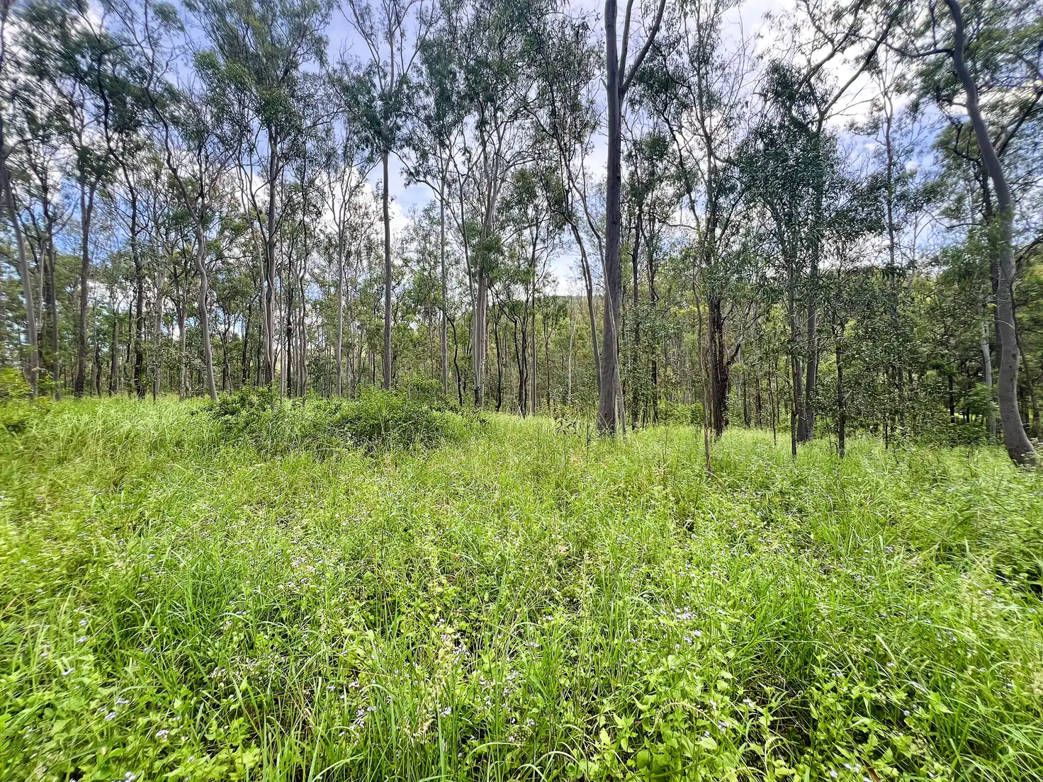 Main view of Homely land listing, Lot 4 Gaeta Road, Gaeta QLD 4671