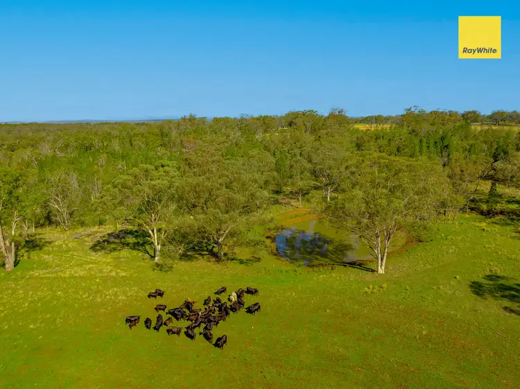 Fifth view of Homely rural property listing, 3911 Bundarra Road, Inverell NSW 2360