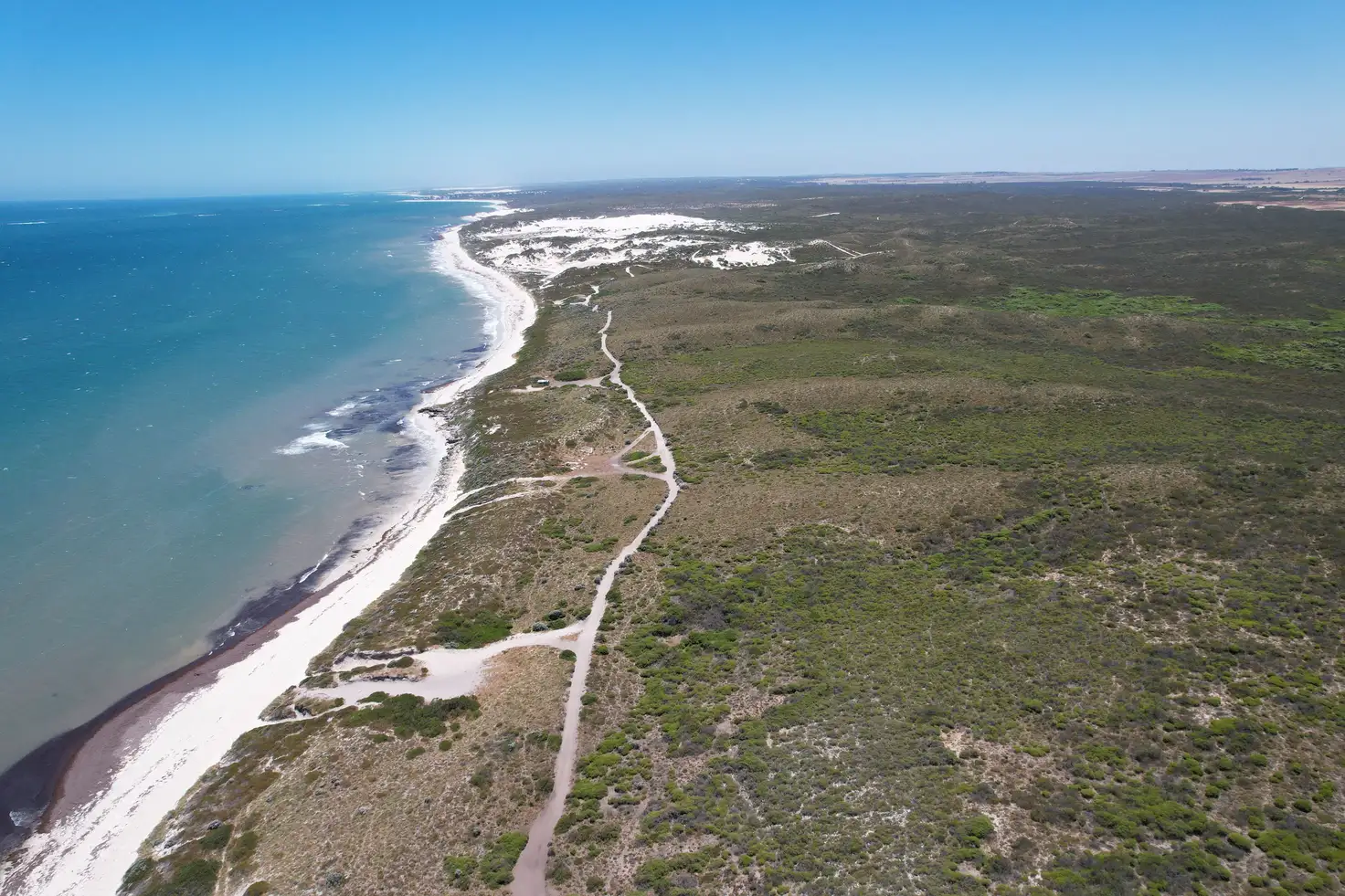 Main view of Homely rural property listing, 111 Indian Ocean Drive, Ledge Point WA 6043