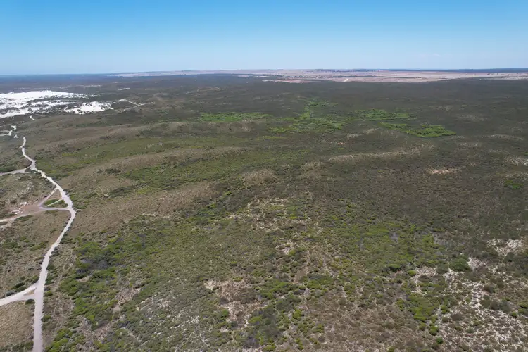 Sixth view of Homely rural property listing, 111 Indian Ocean Drive, Ledge Point WA 6043