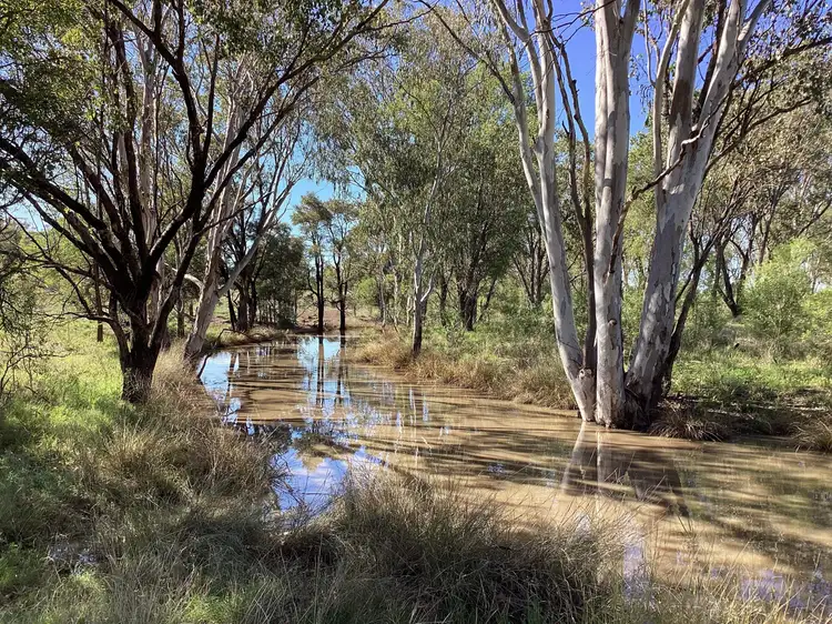 Main view of Homely land listing, LOT 45, 1642 Humbug Road, Tara QLD 4421