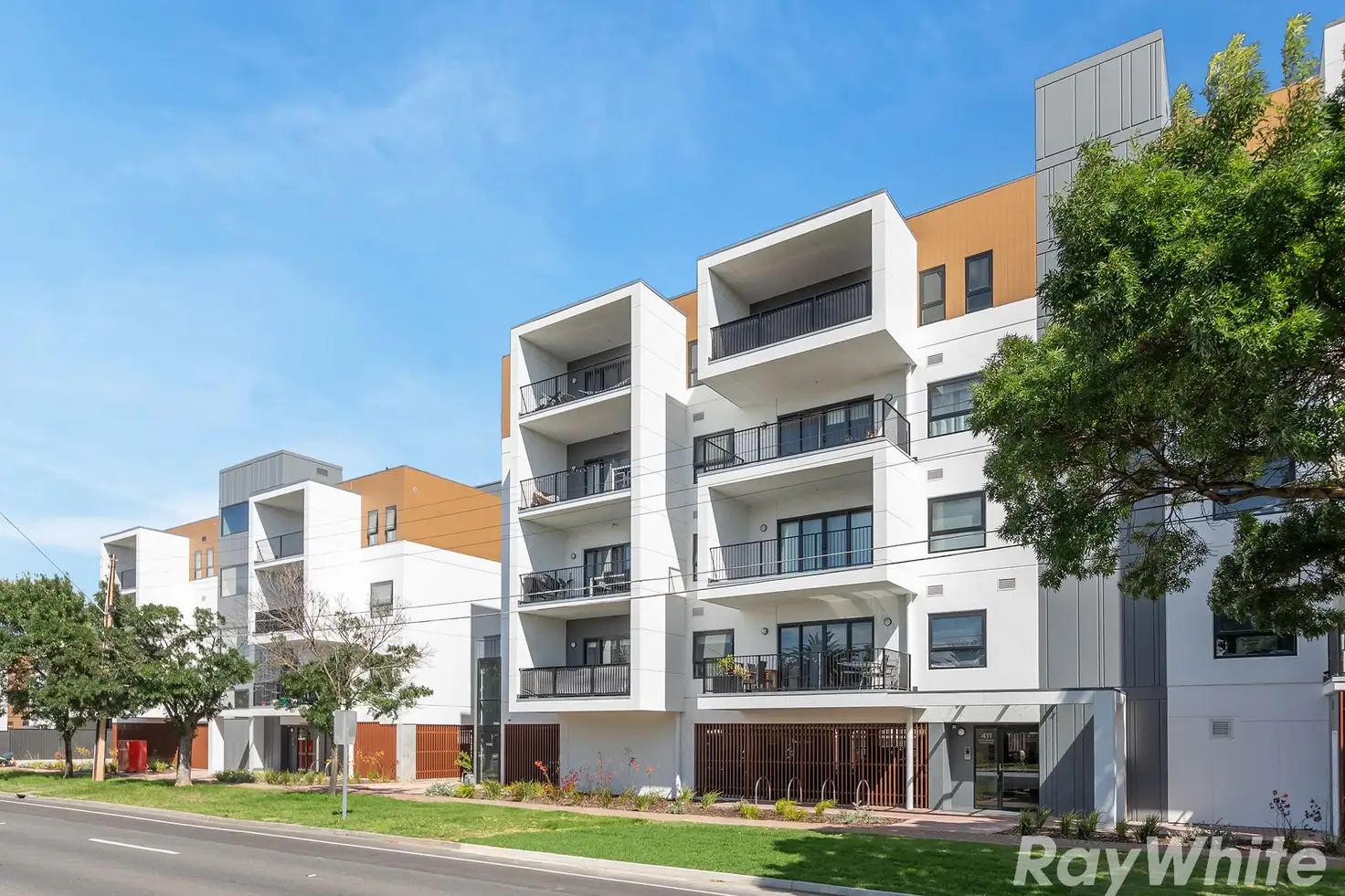 Main view of Homely apartment listing, 3/411 Anzac Highway, Camden Park SA 5038