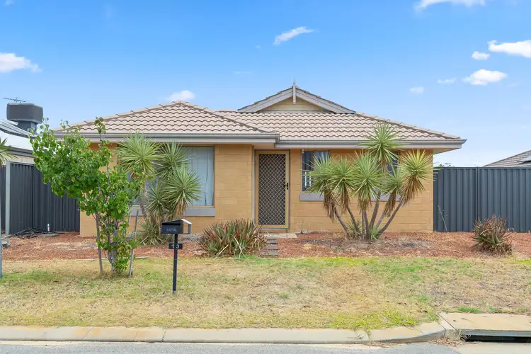 13 Camelot Street, Baldivis WA 6171