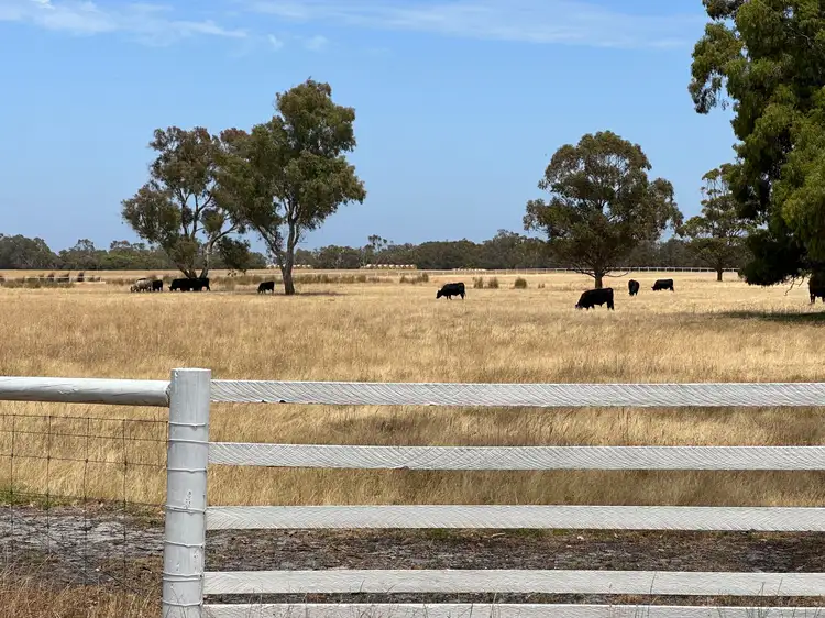Main view of Homely rural property listing, 32330 Albany Highway, Mount Barker WA 6324