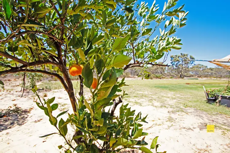 Fourth view of Homely house listing, 415 Jurien Bay Vista, Jurien Bay WA 6516