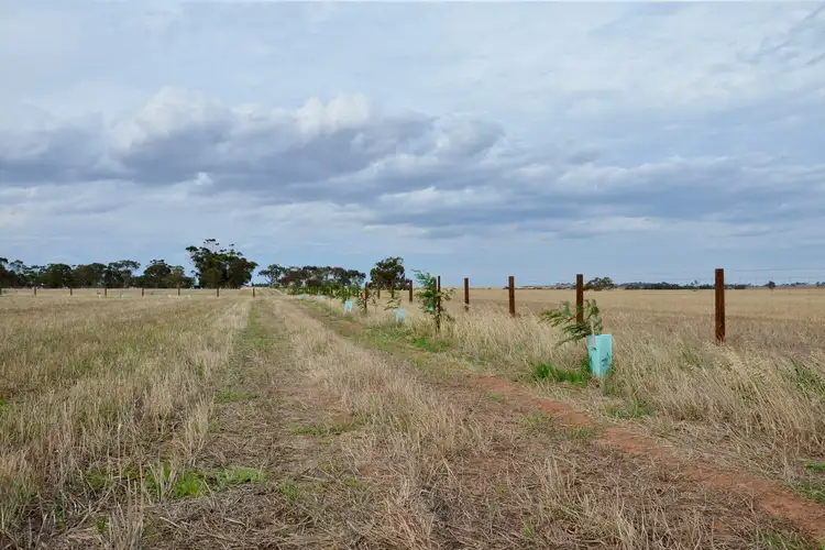 Sixth view of Homely land listing, Lot 104 Eudunda Road, Dutton SA 5356