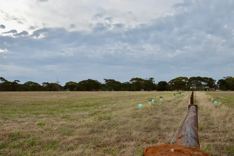 Seventh view of Homely land listing, Lot 104 Eudunda Road, Dutton SA 5356