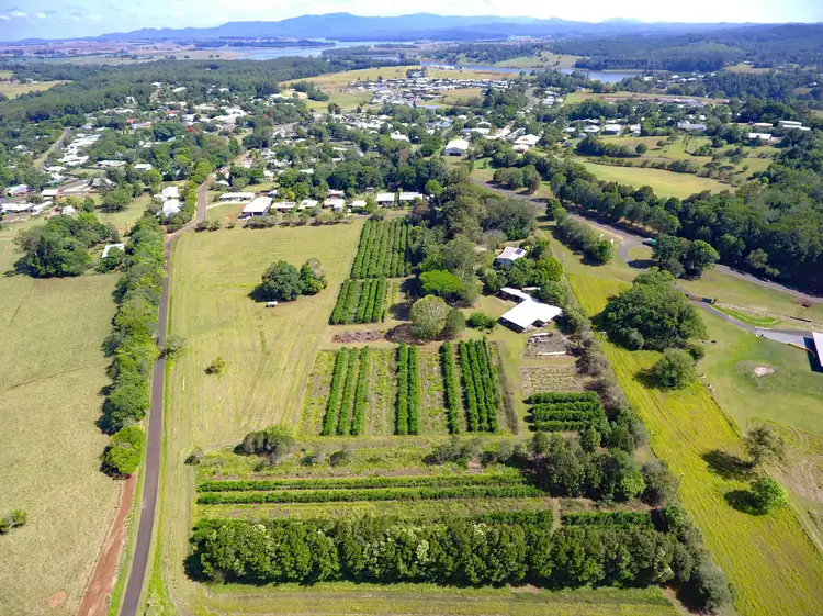 Second view of Homely house listing, 18-32 Beech Street, Yungaburra QLD 4884