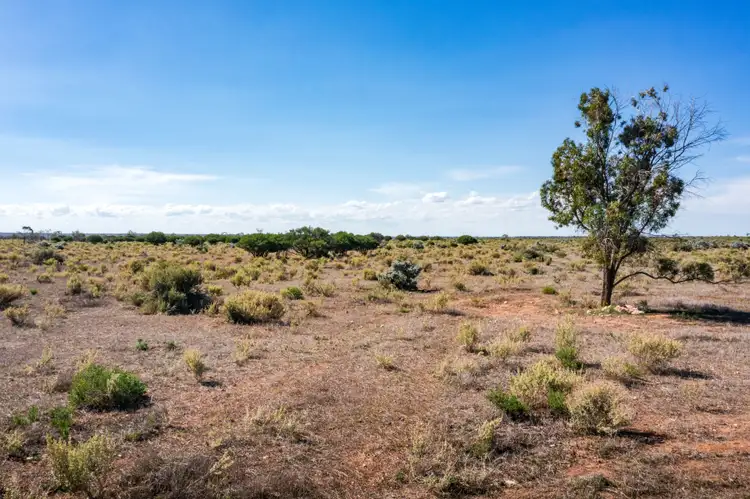 Second view of Homely land listing, Lot 40 Mckay Road, Blanchetown SA 5357