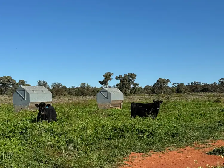2823 Hermidale Nymagee Road, Hermidale NSW 2831