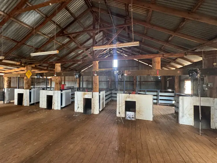 Fifth view of Homely rural property listing, 2823 Hermidale Nymagee Road, Hermidale NSW 2831
