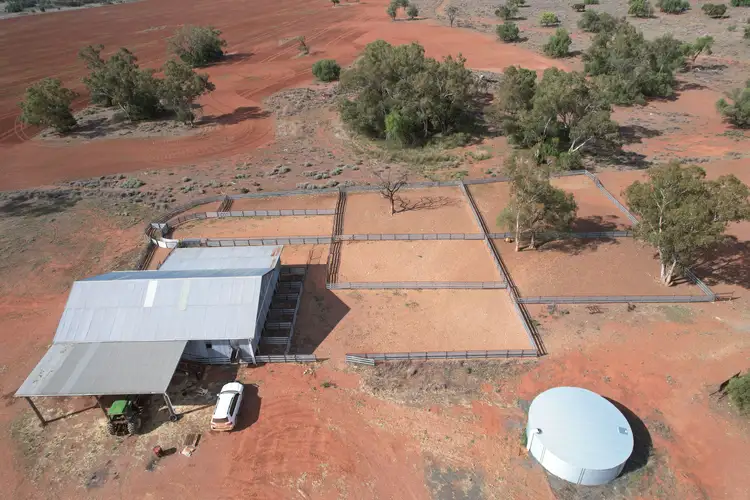 Sixth view of Homely rural property listing, 2823 Hermidale Nymagee Road, Hermidale NSW 2831