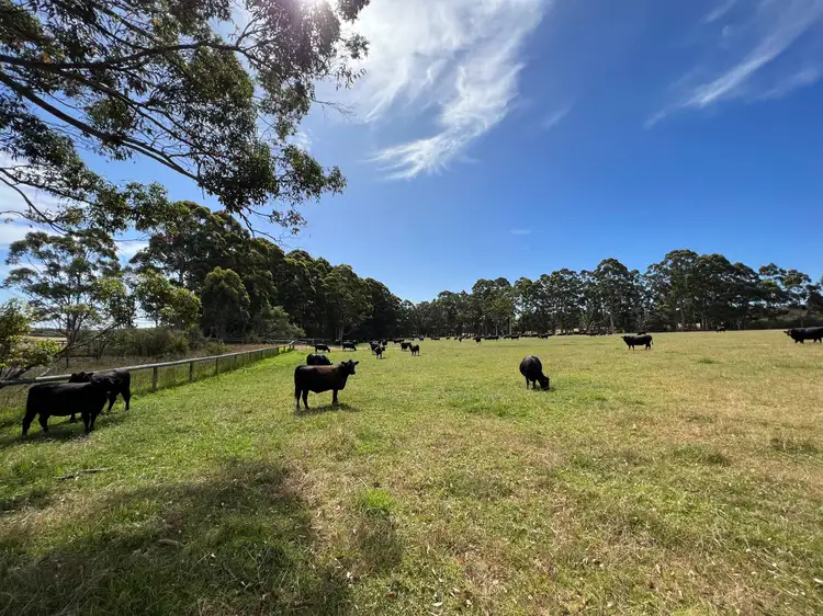 Main view of Homely rural property listing, 853 Happy Valley Road, Kordabup WA 6333