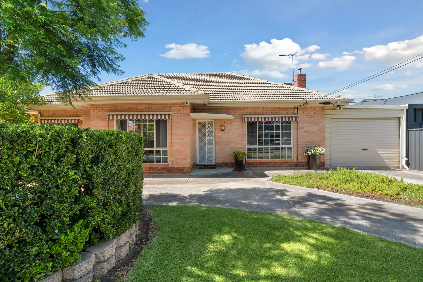 Main view of Homely house listing, 55 Baker Street, Glengowrie SA 5044