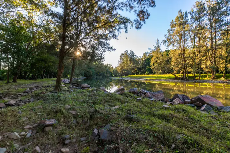 Sixth view of Homely rural property listing, 890 Chichester Dam Road, Dungog NSW 2420