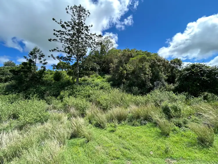 Sixth view of Homely rural property listing, 0 Dalby - Cooyar Road, Nutgrove QLD 4352