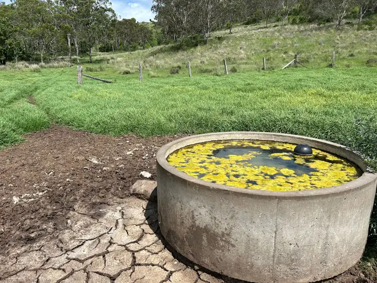 Seventh view of Homely rural property listing, 0 Dalby - Cooyar Road, Nutgrove QLD 4352