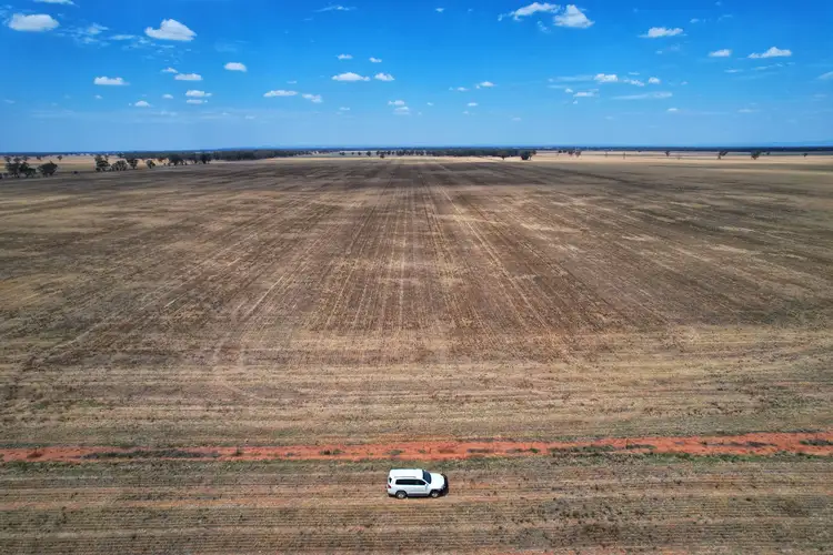 Main view of Homely rural property listing, 2764 The McGrane Way, Narromine NSW 2821