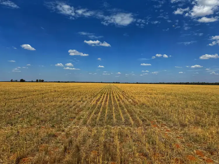 Second view of Homely rural property listing, 2764 The McGrane Way, Narromine NSW 2821
