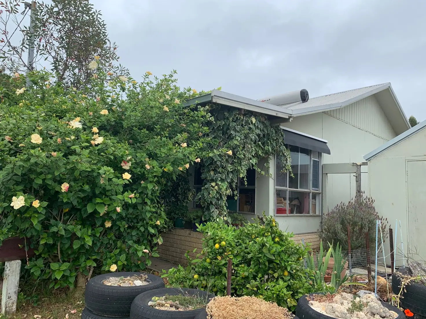 Main view of Homely house listing, 8 Short Street, Denmark WA 6333