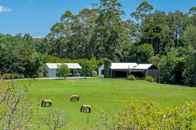 Second view of Homely rural property listing, 311 Long Road, Tamborine Mountain QLD 4272
