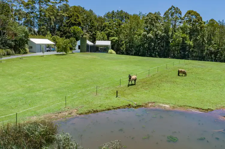 Sixth view of Homely rural property listing, 311 Long Road, Tamborine Mountain QLD 4272