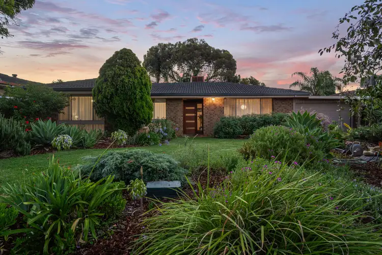 14 Zephyr Court, Surrey Downs SA 5126