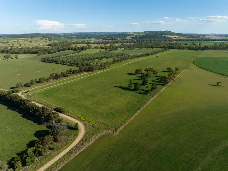 Second view of Homely rural property listing, 262 Eldershaws Road, Euberta NSW 2650