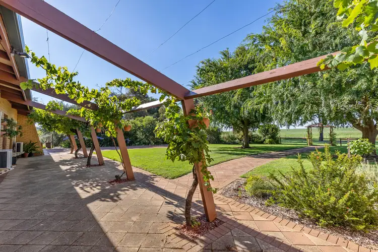Fourth view of Homely rural property listing, 262 Eldershaws Road, Euberta NSW 2650