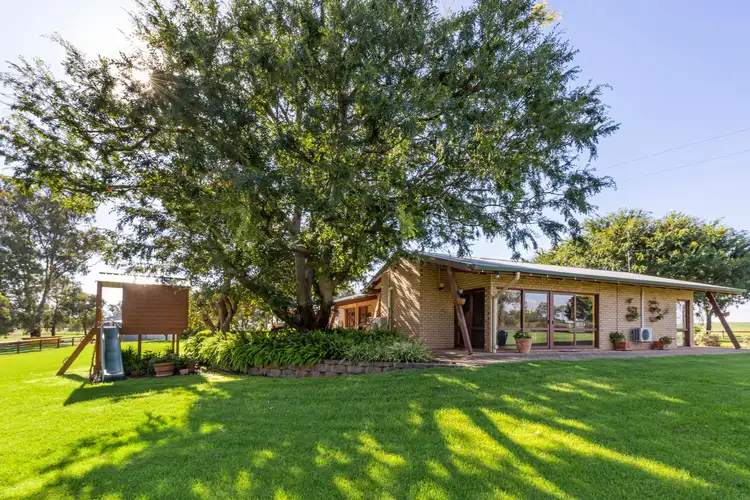 Fifth view of Homely rural property listing, 262 Eldershaws Road, Euberta NSW 2650