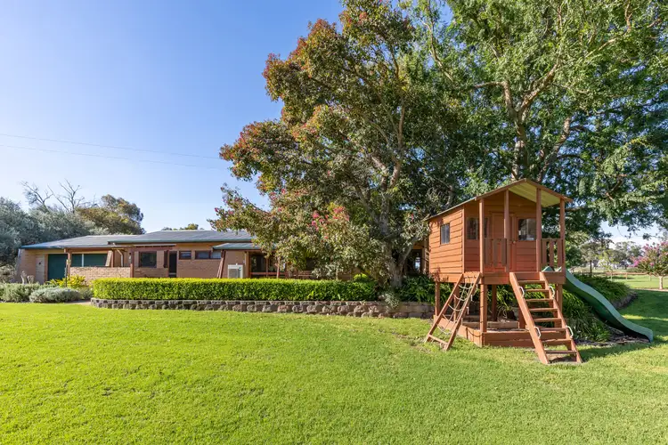 Seventh view of Homely rural property listing, 262 Eldershaws Road, Euberta NSW 2650