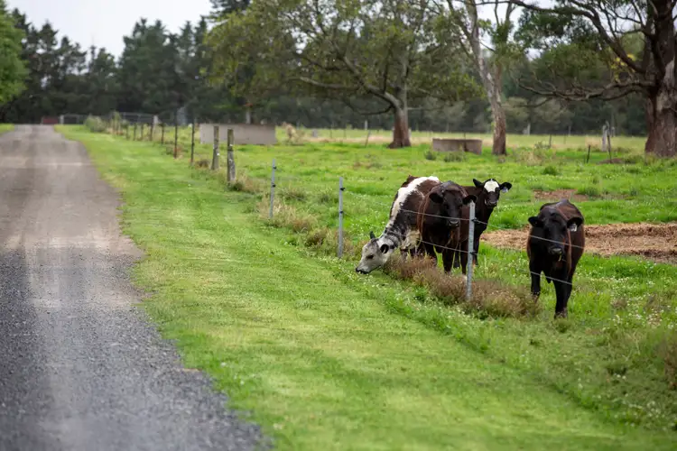Fourth view of Homely rural property listing, 11 Grahams Road, Meroo Meadow NSW 2540