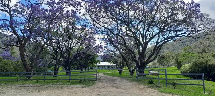 "Smiths Creek Station"- 8314 Kempsey Road, Kempsey NSW 2440